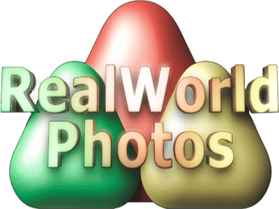 RealWorld Icon Editor Portable