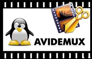 Avidemux Portable 2.8.2.23306 (32-64 bit) RUS скачать
